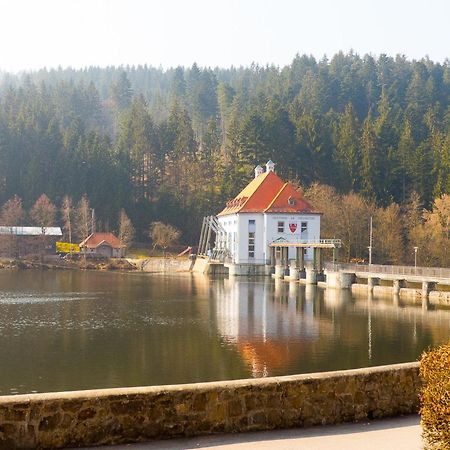 Ferienhaus Nr 15, Typ A, Feriendorf Jaegerpark, Bayerischer Wald Βίλα Viechtach Εξωτερικό φωτογραφία