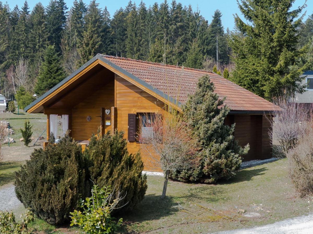 Ferienhaus Nr 15, Typ A, Feriendorf Jaegerpark, Bayerischer Wald Βίλα Viechtach Εξωτερικό φωτογραφία